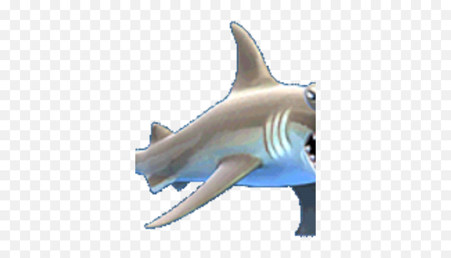 Hammerhead Shark - Hungry Shark Hammerhead Png,Hammerhead Shark Png