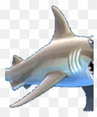 Hammerhead Shark - Hungry Shark Hammerhead Png,Hammerhead Shark Png