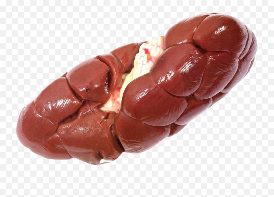 Download Kidney - Beef Png,Kidney Png