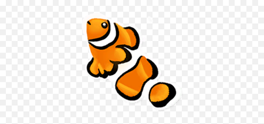 Clown Fish - Ocellaris Clownfish Png,Clownfish Png