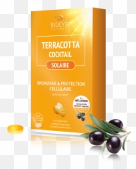 Terracotta Cocktail Sun Care - Biocyte Terracotta Cocktail Solaire Png,Solaire Png