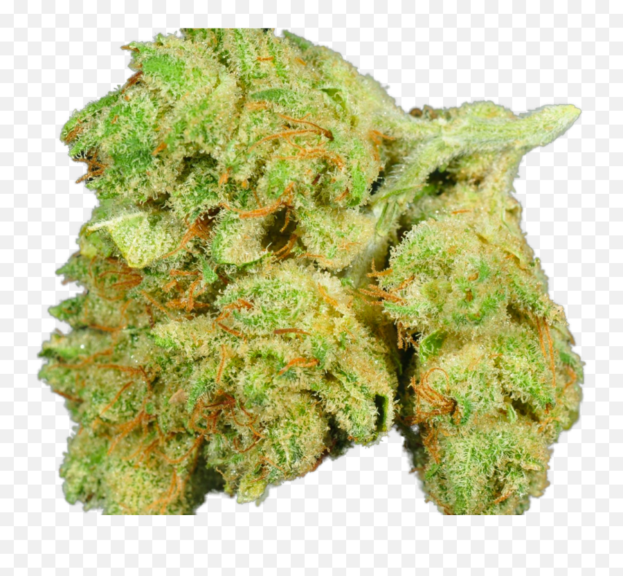 Gorilla Glue 4 - Sour Diesel Png,Gorilla Glue Logo