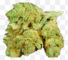 Gorilla Glue 4 - Sour Diesel Png,Gorilla Glue Logo