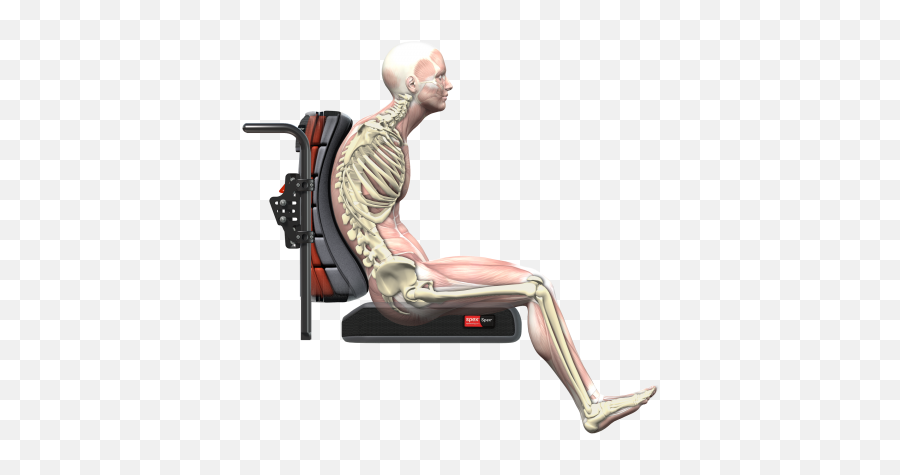 Wheelchair Seating And Positioning Tips - Anterior Pelvic Tilt In Wheelchair Png,Person Sitting In Chair Back View Png