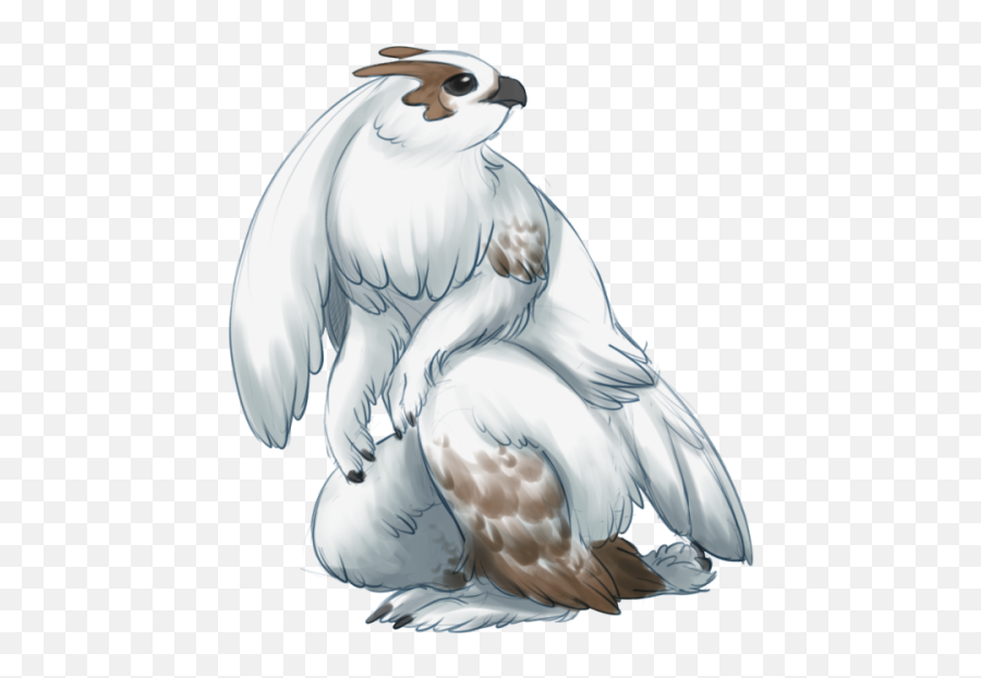 Endivinity Blazikens - Pokevariant Pokemon Breeds Blaziken Png,Blaziken Png