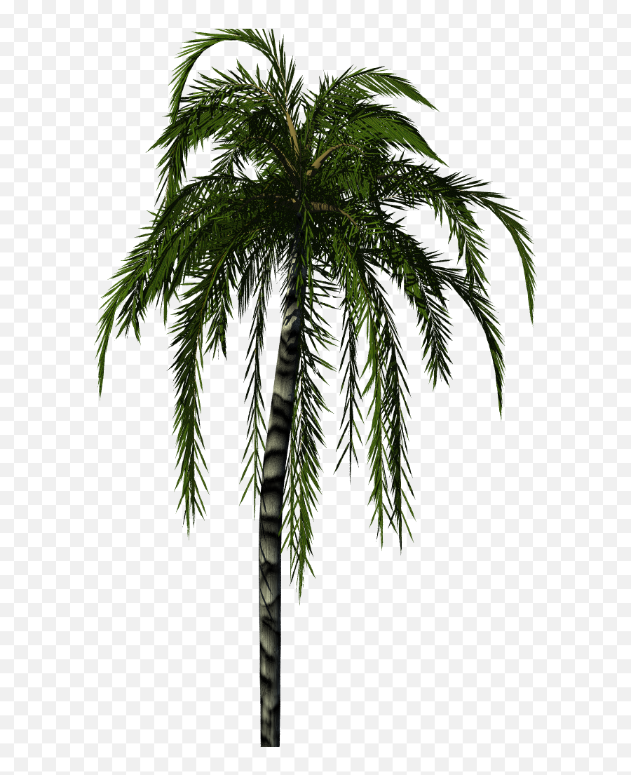 Greenhouse - Blender For Architecture Palm Tree Render Png,Palm Trees Png