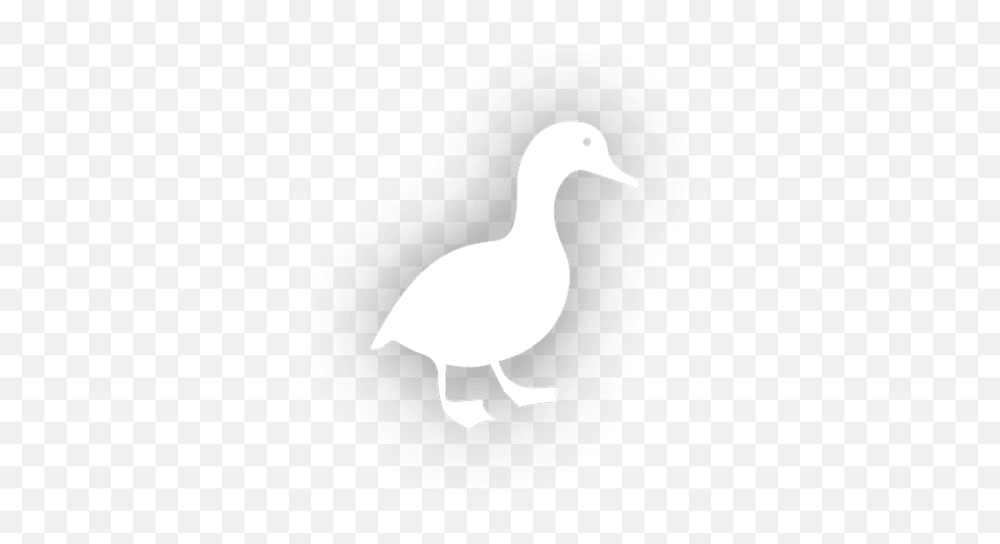 Duck Icon - Domestic Duck Png,Duck Game Icon