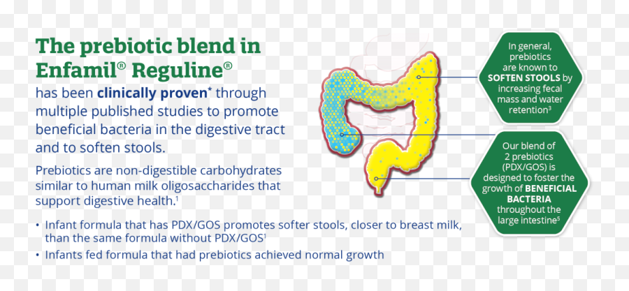 Hcpm Product Enfamil Reguline - Vertical Png,Icon Pdx