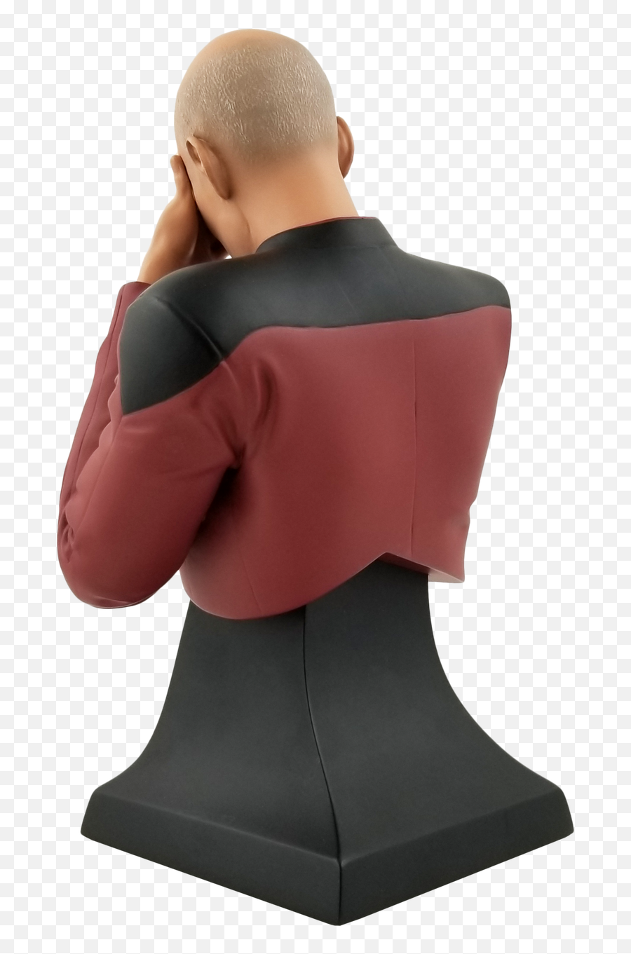 Star Trek The Next Generation Picard Facepalm Limited Edition Bust - San Diego Comiccon 2020 Previews Exclusive 2020 San Diego Png,Star Trek Icon Pack