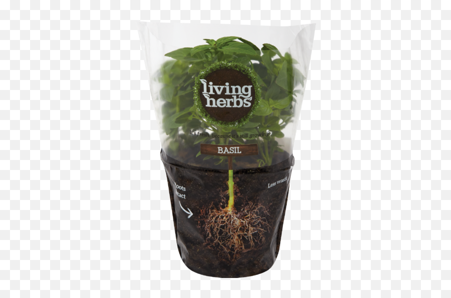 Download Free Basil Living Pot Leaf Herbs Icon Favicon - Herbs Pot At Checkers Png,Pot Leaf Icon