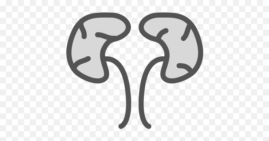 Kidneys Icons - Simbolo Urologia Png,Kidney Icon