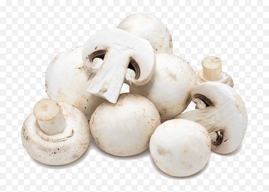 Download Hd Button Mushrooms - Button Mushroom Png,Mushroom Png