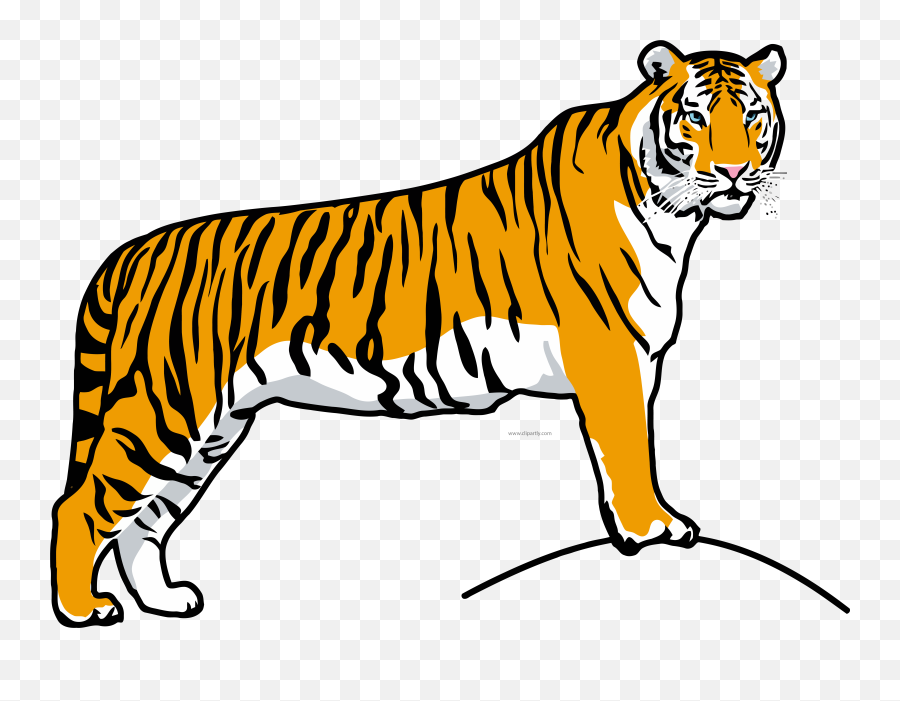 White Tigger Clipart Png Image Download - Drawing Of National Animal,Running Clipart Png