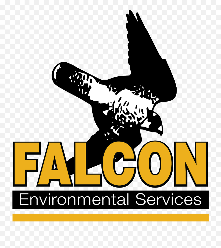 Falcon Environmental Services Inc U2013 Leaders In The Field - Falcon Environmental Services Png,Falcons Logo Png