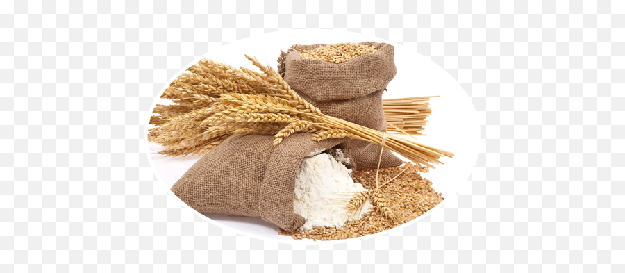 Grain Sack Png Picture 1945393 - Wheat To Flour Png,Sack Png