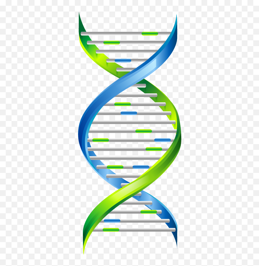 Dna Png - Transparent Transparent Background Dna Strand,Dna Transparent Background