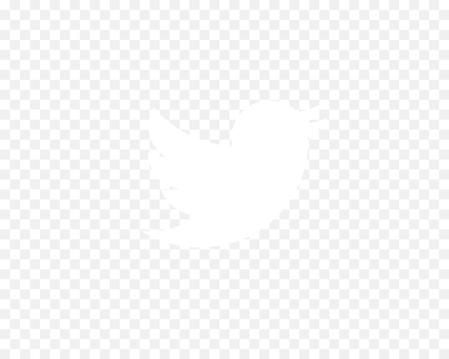 Twitter Logo Png White 1 Image - Twitter Logo White Vector,White Twitter Logo Png