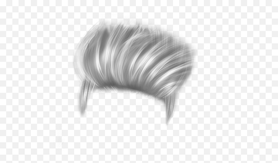 New Cb Hair Png  Hair Png Hd PNG Image  Transparent PNG Free Download on  SeekPNG
