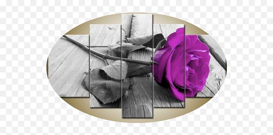 Rose Flower 5 Piece Wall Art Free Global Shipping U0026 Framed - Romantic Hot Red Roses Png,Purple Rose Png
