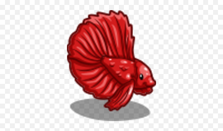 Ruby Betta Fish - Clip Art Png,Betta Fish Png