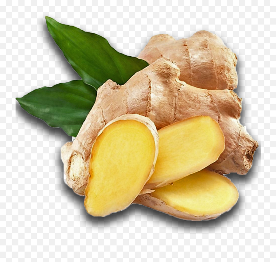 Download Ginger Png Image With No - Ginger Png,Ginger Png