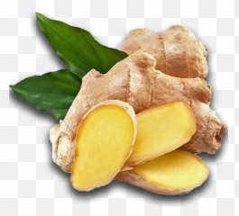 Download Ginger Png Image With No - Ginger Png,Ginger Png
