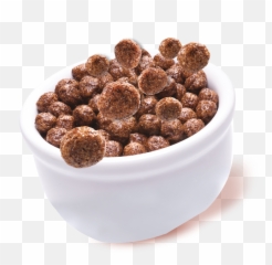 Breakfast Cereals - Chocolate Cereal Bowl Png,Bowl Of Cereal Png