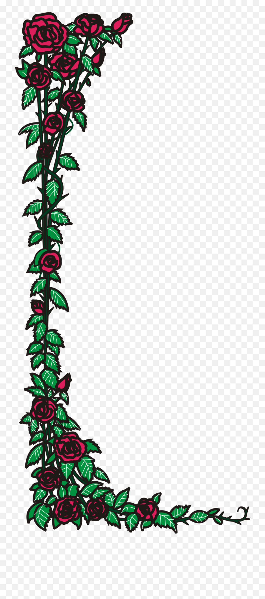 rose vine border drawing
