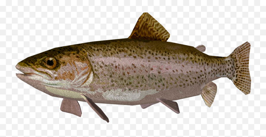 Download Trout Png Transparent - Trout Png,Trout Png