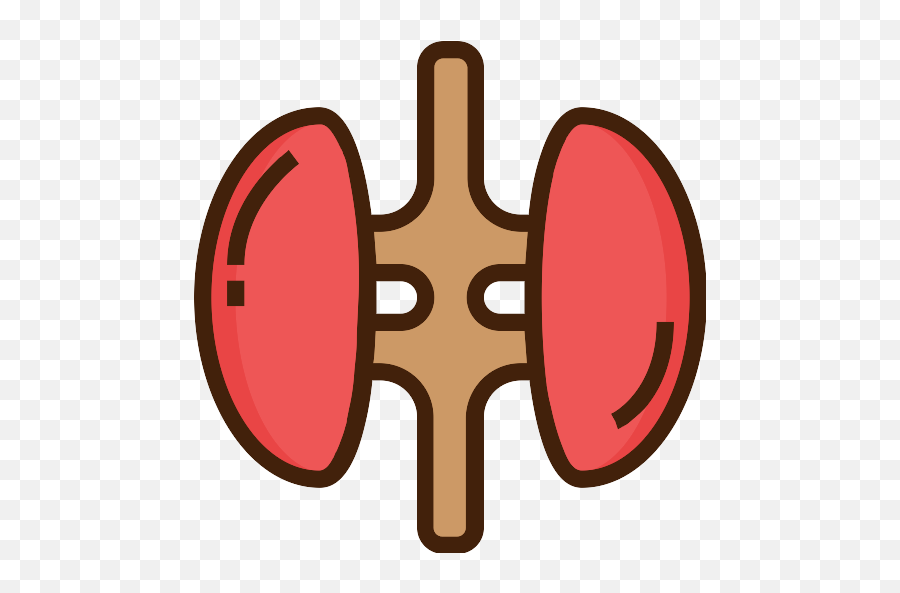 Kidneys Kidney Png Icon - Clip Art,Kidney Png