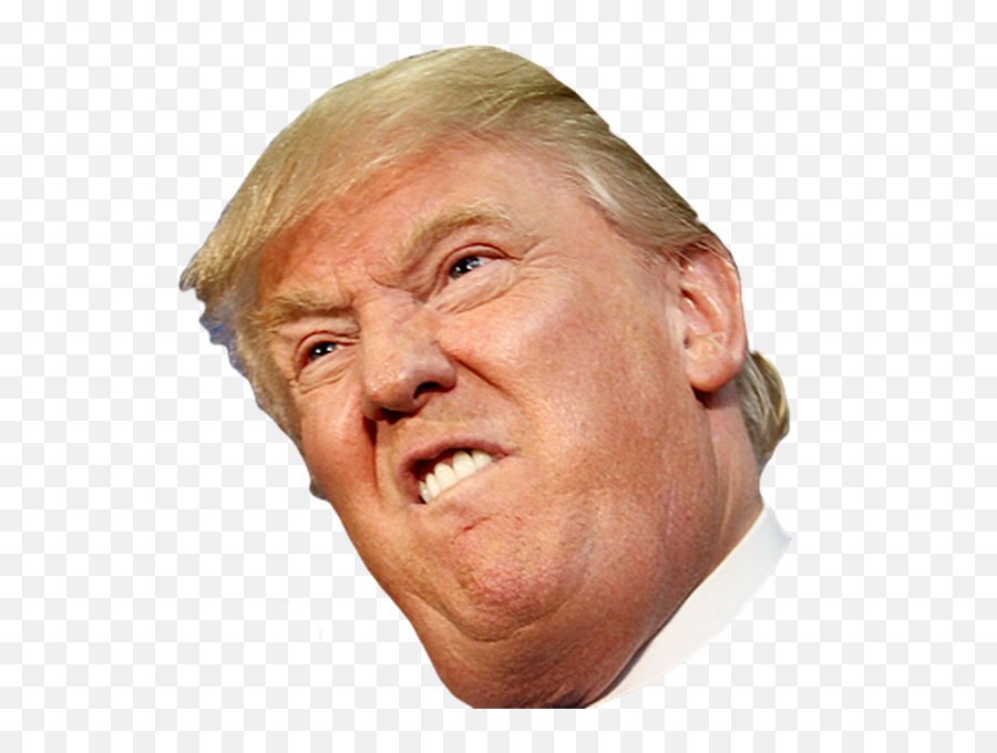 Angry Side Face Trump - Donald Trump Face Png,Trump Head Transparent Background