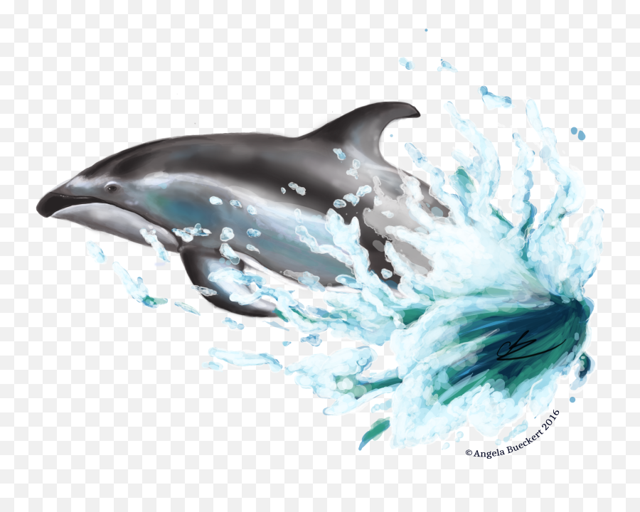 Dolphin Download Transparent Png Image - Transparent Dolphin Images Png,Dolphin Transparent Background