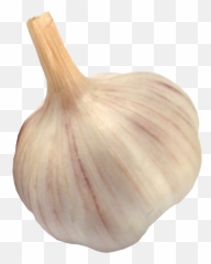 Garlic Png Image