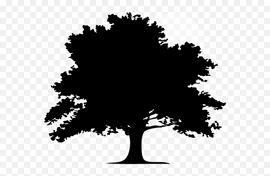 Home - Silhouette Oak Tree Clipart Png,Black And White Tree Logo
