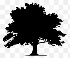 Home - Silhouette Oak Tree Clipart png