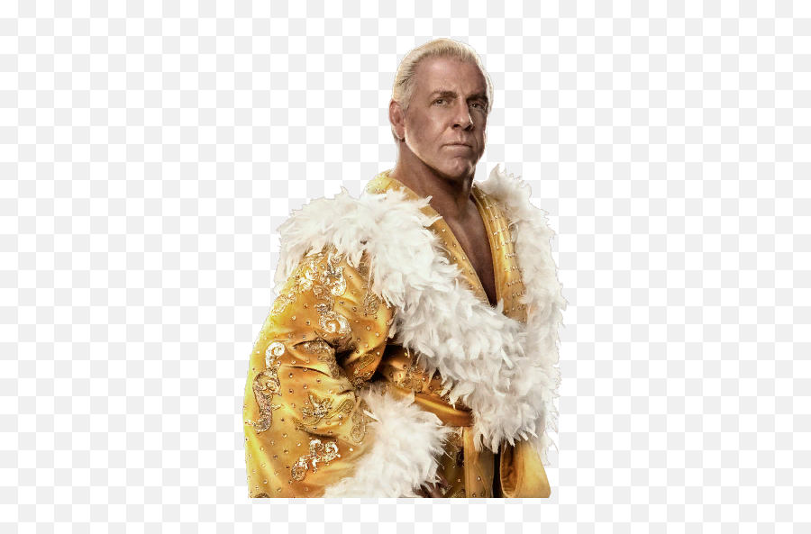 Renders Superstar Models - Ric Flair Gold Robe Png,Ric Flair Png