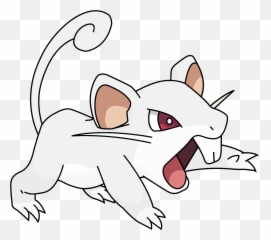 Download White Rattata - Pack Rats Png,Rattata Png