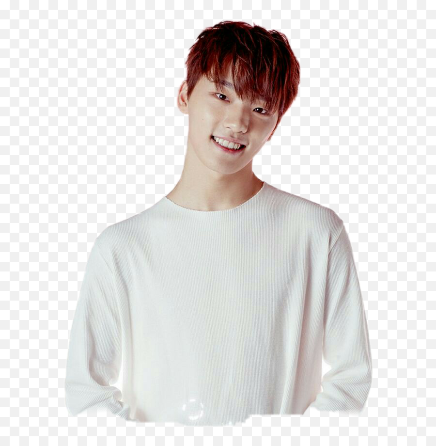 Seventeendino Seventeen Svt Dino - Crew Neck Png,Seventeen Transparent