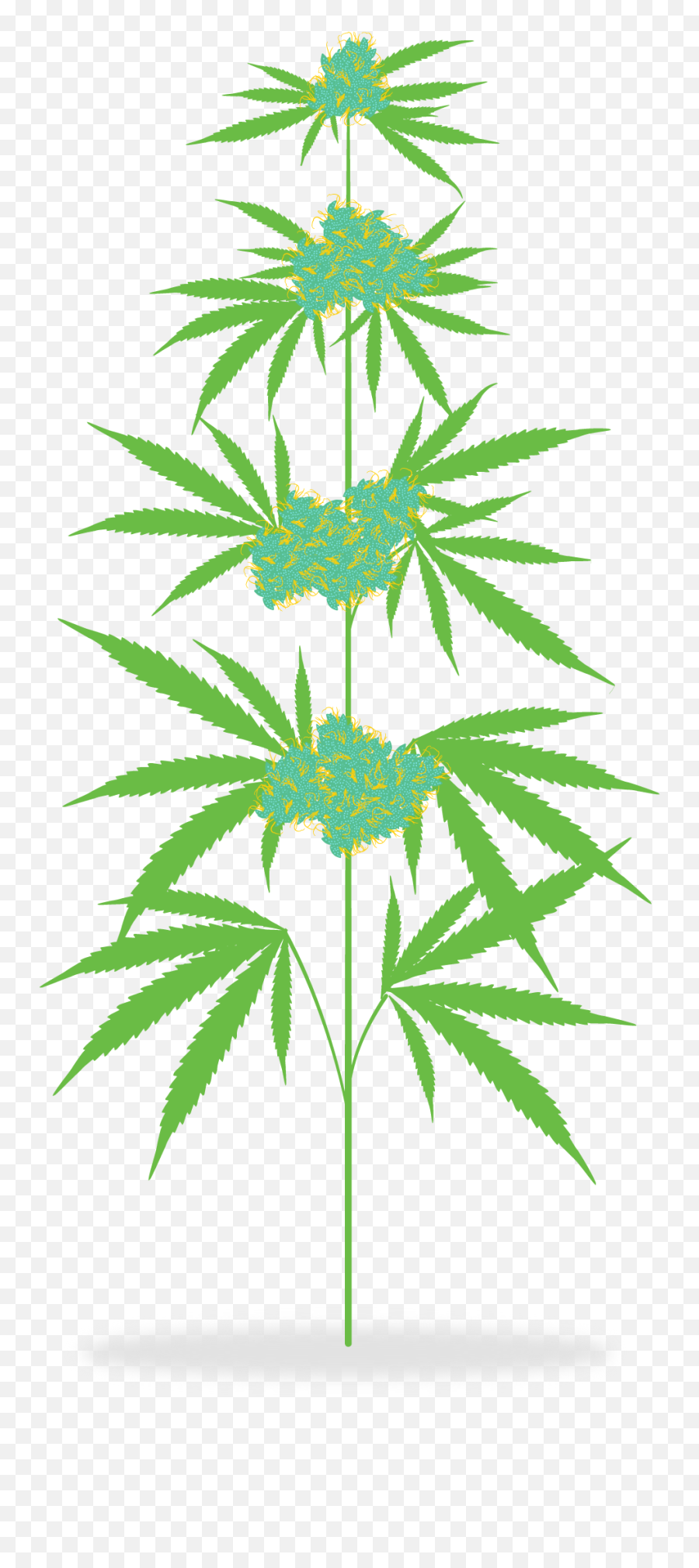 Cannabis Clipart Png - Marijuana Plant Clip Art,Marijuana Plant Png