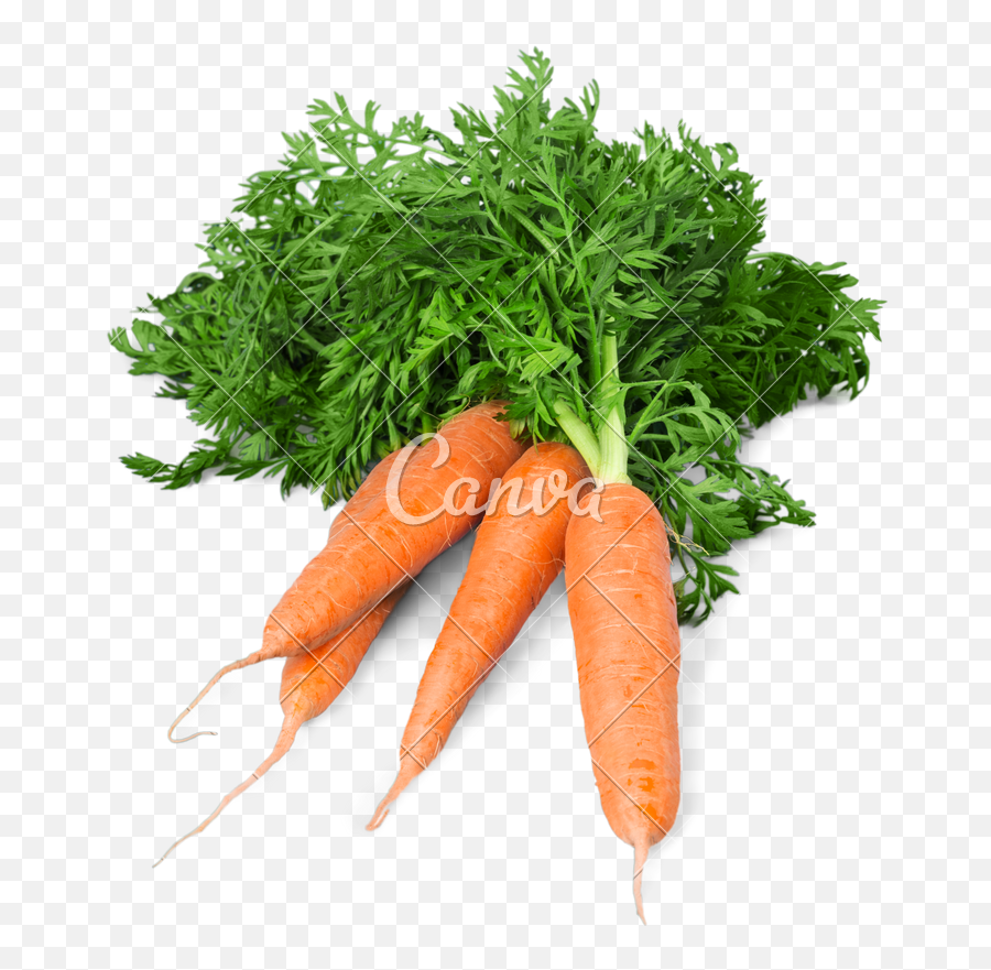 Carrot Vegetable With Leaves Isolated - Arugula Png,Carrot Transparent Background