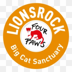 Andi The Lioness - Our Animals LIONSROCK Big Cat Sanctuary Four Paws png