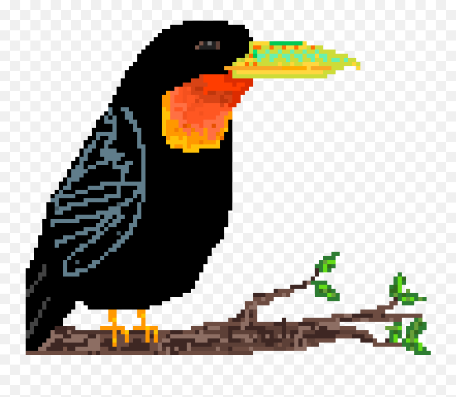 Pixilart - Tucan By Anonymous King Penguin Png,Tucan Png
