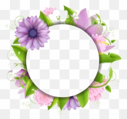 Flowers Borders Png All - Page Design