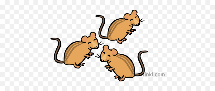 3 Mice Illustration - Twinkl 3 Mice Illustration Png,Mice Png