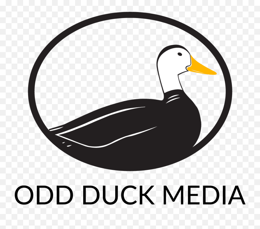 Odd Duck Media Web Design U0026 Seo Companies San Antonio - Duck Png,Duck Transparent