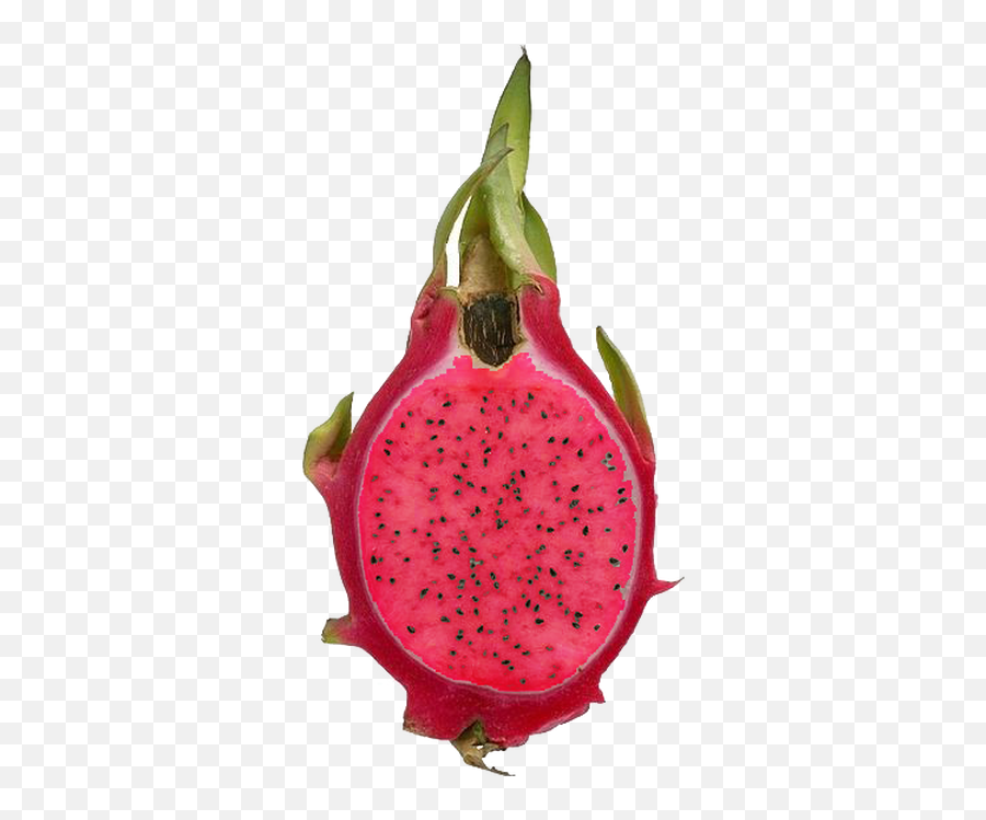 Dragon Fruit Redu0026white Truong - Enterprises Imported Fruits In India Png,Dragonfruit Png