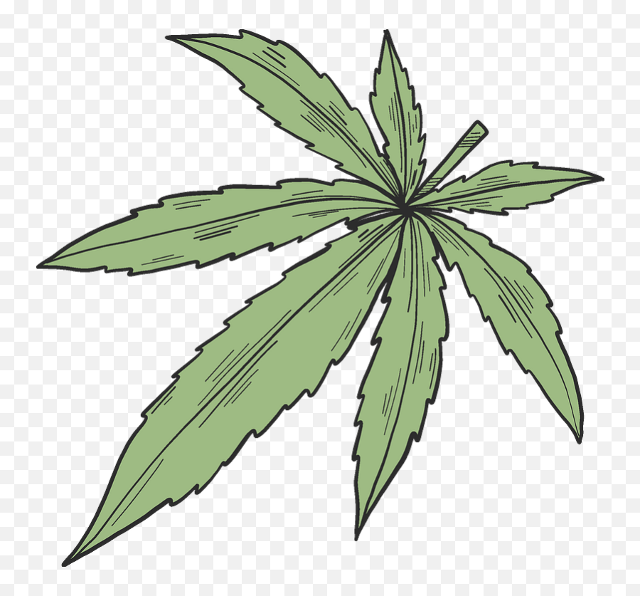 Clipart - Transparent Clipart Marijuana Plant Png,Marijuana Leaf Png