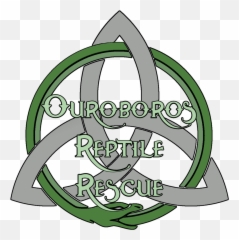 Ouroboros Png