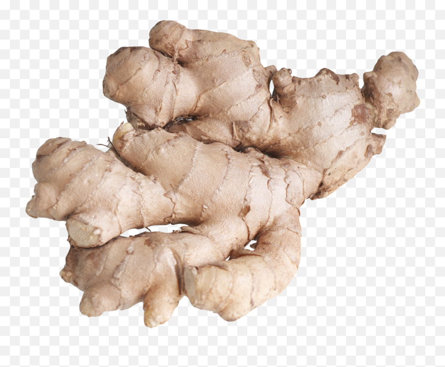 Ginger Png Image - Ginger Root Png,Ginger Png