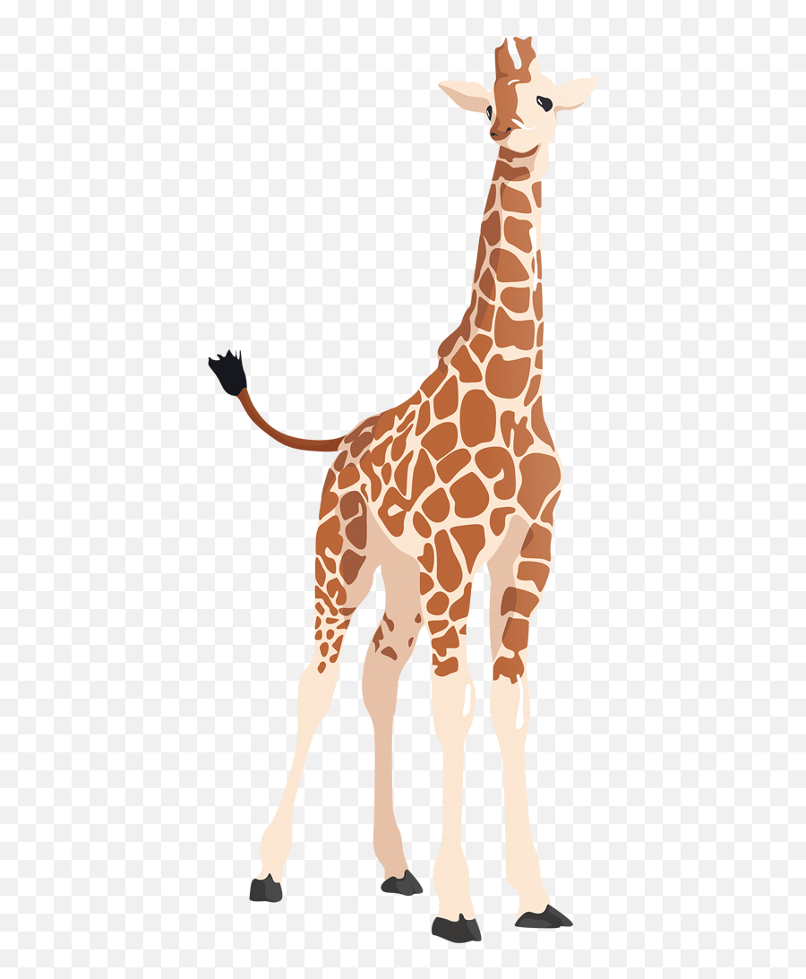 Flat Giraffe Vector Toffuco Ilustraciones De Animales - Vector Clipart Giraffe Png,Giraffe Png